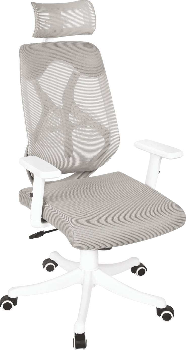 Ergonomic Mesh Chair
